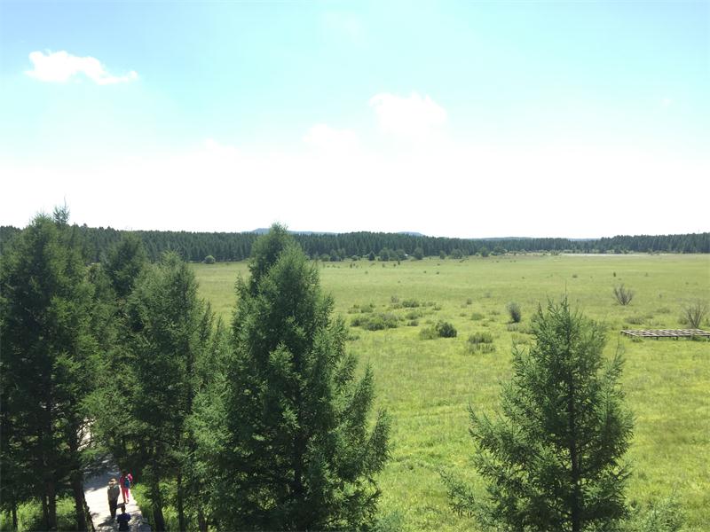 塞罕壩明珠七星湖 詩(shī)情畫意似仙境(圖8)