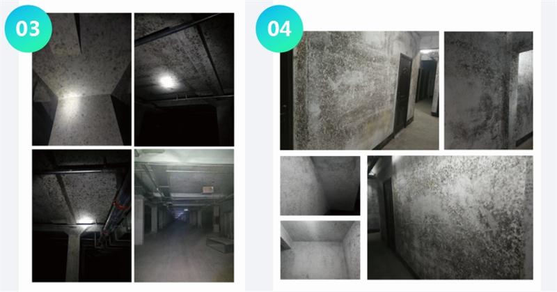 霉菌的溫床：地下車庫或儲藏室潮濕、滲漏...(圖2)