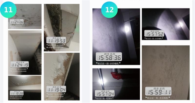 霉菌的溫床：地下車庫或儲藏室潮濕、滲漏...(圖5)