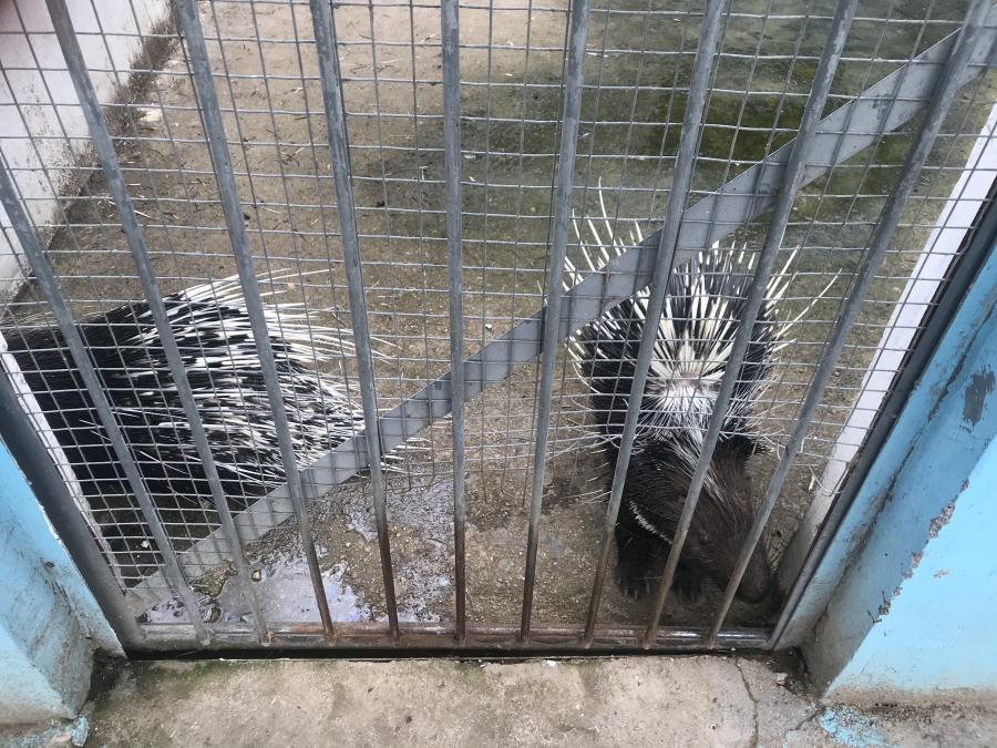 天鵝湖風(fēng)景區(qū)（泰山）速覽！(圖10)