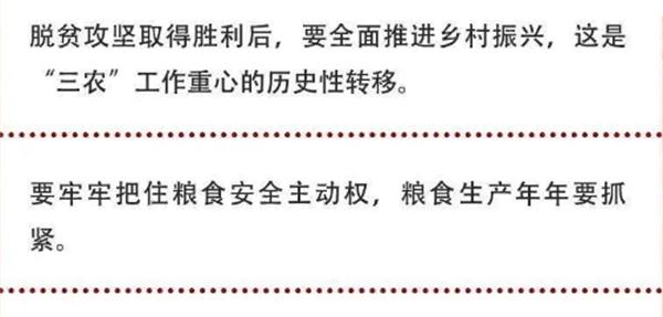 2020年中央農(nóng)村工作會(huì)議精神速覽！(圖2)