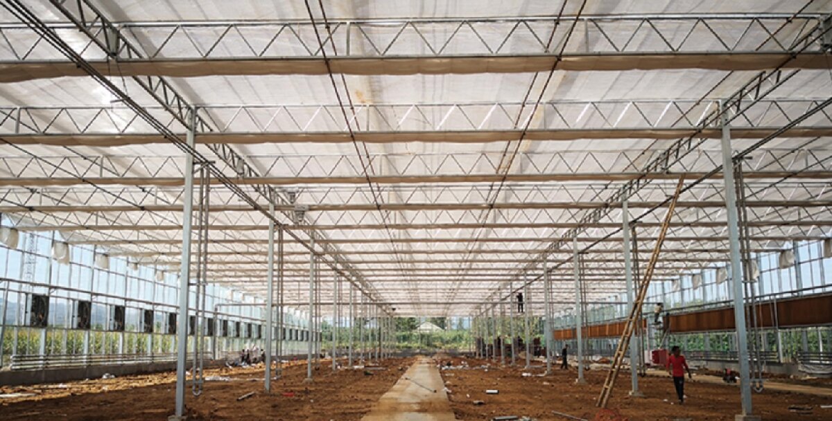 信橋鋼構(gòu)：打卡蒙陰農(nóng)業(yè)溫室大棚、青州黑牛養(yǎng)殖基地！(圖3)