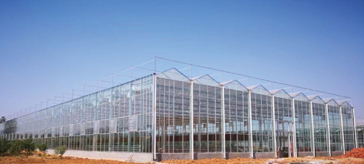 信橋鋼構(gòu)：打卡蒙陰農(nóng)業(yè)溫室大棚、青州黑牛養(yǎng)殖基地！(圖2)